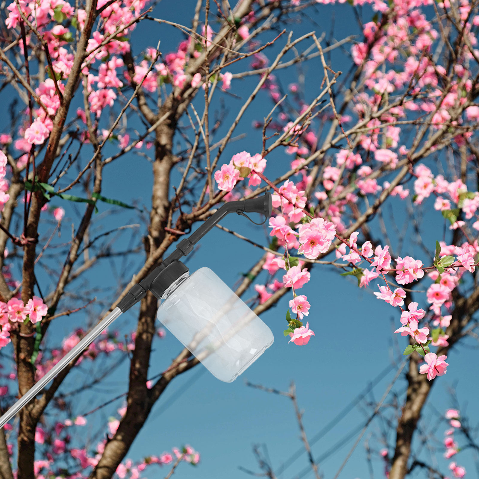 Alat Penyerbukan Manual Tongka - Flower Supplies ulasan dan harga