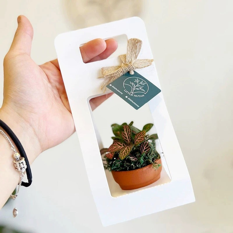 10 Set Kantong Hadiah Sukulen  - Flower Wrap Kraft ulasan dan harga